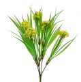 Floristik24 Deco fű virágokkal sárga, zöld H32ccm