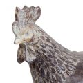 Floristik24 Deco csirkék dekoratív figura kerti figura csirke vintage H17cm 2db