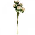 Floristik24 Deco Roses Cream Artificial Roses Silk Flowers 50cm 3db