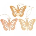 Floristik24 Deco pillangók deco fogas narancssárga/rózsaszín/sárga 12cm 12db