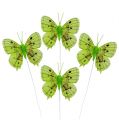 Floristik24 Dekoratív pillangók zöld 8cm 6db