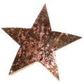 Floristik24 Deco Star Mikulásvirág Coconut Pink Metallic 5cm 50db