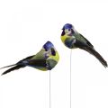Floristik24 Deco Birds on Wire Spring Deco Blue Tit 10×3cm 9db