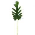 Floristik24 Dekoratív levelek Philodendron zöld SZ11cm L34cm 6db