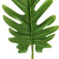 Floristik24 Dekoratív levelek Philodendron zöld SZ11cm L34cm 6db