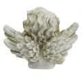 Floristik24 Dekoratív angyal figura álmodozó krém 20cm