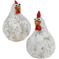Floristik24 Dekofiguren csirke és kakas 5,5cm - 6,5cm 6db