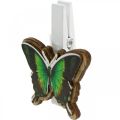 Floristik24 Díszkapcsos pillangó, ajándék dekoráció, rugós, pillangók fából 6db