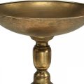 Floristik24 Dekoratív tál lábon Dekoratív tányér arany antik megjelenés Ø28cm H26cm