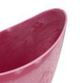 Floristik24 Dekoratív tál műanyag rózsaszín 20cm x 9cm H11,5cm, 1db