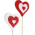 Floristik24 Dekoratív dugaszoló szív, esküvői dekoráció, virág dekoráció Valentin napra, szív dekoráció 18db