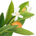 Dekoratív narancság és virágok Mesterséges narancság 78cm | Floristik24.hu