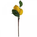 Floristik24 Deco Branch Mediterrán Deco Lemons Artificial 30cm