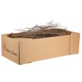 Dekoratív ágak natúr dekoratív kakukkfű ágak szárított 500g | Floristik24.hu