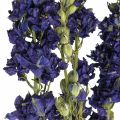 Szárított delphinium, száraz virágkötő, delphinium blue L64cm 25g