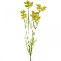Floristik24 Sárga kapor mesterséges gyógynövény növény kapor díszítéshez L80cm