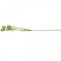 Floristik24 Kapor virágzás, műnövény, műfű zöld, fehér L80cm