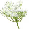 Floristik24 Kapor virágzás, műnövény, műfű zöld, fehér L80cm
