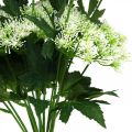 Floristik24 Virágzó kapor, műfű, dísznövény zöld, fehér 49cm 9db