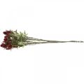 Floristik24 Bogáncs művirág piros bordó 10 db virágfej 68cm 3db
