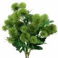 Floristik24 Bogáncs selyemvirág zöld 56cm 3db