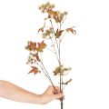 Műbőr őszi eukaliptusz ág levelekkel és gyümölcsfürtökkel, 132 cm | Floristik24.hu