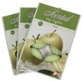 Floristik24 Illatos gyertyák alma, tealámpa illat, szoba illatgyertya Ø3,5cm H1,5cm 18 db