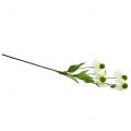 Floristik24 Echinacea virág műfehér 90cm