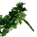 Floristik24 Ivy inda zöld 70cm