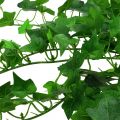 Floristik24 Ivy fogas zöld 60cm