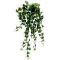 Floristik24 Ivy fogas zöld 90cm