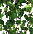 Floristik24 Ivy fogas zöld 90cm