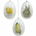 Floristik24 Akasztható húsvéti tojások állati motívumokkal csibe, madár, nyúl fehér, válogatott 3db