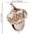 Makk, természetes dekorációs termék, fehérre meszelt, 1-3 cm, 300g | Floristik24.hu