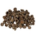 Floristik24 Természetes makk sapkák, dísztálak őszi és adventi időszakra, 2 cm, 300 g