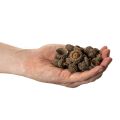 Természetes makk sapkák, dísztálak őszi és adventi időszakra, 2 cm, 300 g | Floristik24.hu