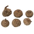 Természetes makk sapkák, dísztálak őszi és adventi időszakra, 2 cm, 300 g | Floristik24.hu