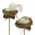 Floristik24 Deco dugós madárfészek, húsvéti dekoráció, fészek tojással 23cm 6db