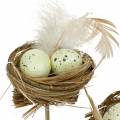 Floristik24 Deco dugós madárfészek, húsvéti dekoráció, fészek tojással 23cm 6db
