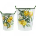 Floristik24 Mediterrán bádog kád, virágtartó citrom motívummal fehér, zöld, sárga H43,5/34cm W36,5/27,5cm 2 db-os készlet