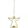 Floristik24 Dekoratív angyalka, akasztható teamécses tartó, fém díszítés arany H20cm