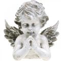 Floristik24 Imádkozó angyal, temetési virágkötő, angyalfigura mellszobra, sírdísz H19cm sz19,5cm