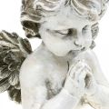 Floristik24 Imádkozó angyal, temetési virágkötő, angyalfigura mellszobra, sírdísz H19cm sz19,5cm