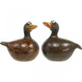 Floristik24 Deco kacsa kerámia figura rugós dekoráció 12,5cm barna 2db