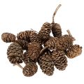 Floristik24 Égertobozok, természetes anyag dekorációhoz és barkácsoláshoz, arany, 3 cm, 300 g