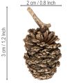 Égertobozok, természetes anyag dekorációhoz és barkácsoláshoz, arany, 3 cm, 300 g | Floristik24.hu