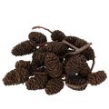 Floristik24 Természetes égerfa tobozok, kinyerhetőek, dekorációnak, 3 cm, 300 g, natúr barna.