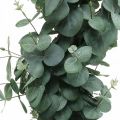Floristik24 Eukaliptusz cserépben műnövény Műnövény dekoráció H87cm