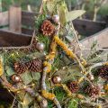 Floristik24 Eukaliptusz tartósított ágak levelei kerek zöld 150g
