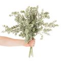 Mesterséges eukaliptusz ág, díszág vázákba és csokrokhoz, 49 cm, 4 darab | Floristik24.hu